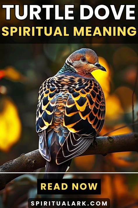 at the top of this post is the title that says, "Turtle Dove, spiritual meaning", at the center of this post is a photo of a turtle dove sitting on a branch of tree, below the photo of the main subject is a button that contains the words "read now", and at the bottom of this post is the website source which is "SpiritualArk.com" Dove Spiritual Meaning, Turtle Doves, Turtle Dove, Spiritual Meaning, Personal Journey, Wild Birds, Spiritual Journey, Meant To Be, Spirituality