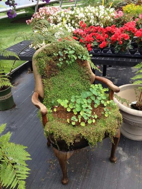 Moss Chair Diy, Moss Covered Chair, Moss Furniture, Planter Chairs, Moss Chair, Covered Furniture, Moss Planter, Whimsical Garden Art, Chair Planter