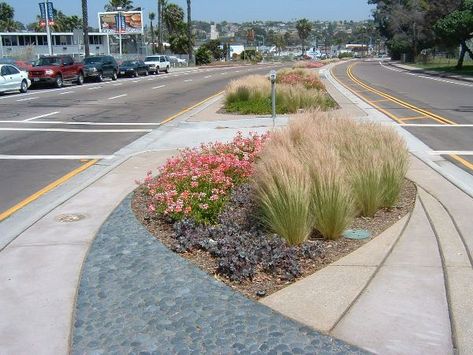 Median Strip Landscaping, Road Median Landscape Design, Median Planting, Median Landscaping, Landscaping Around Patio, Sidewalk Landscaping, King Faisal, Mulch Landscaping, Gravel Landscaping