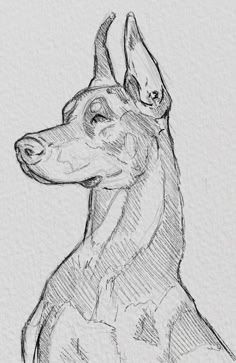 Art Dog Drawing, Dog Tutorial Drawing, Drawing Animals Ideas, Drawing Sketches Animals, Pencil Art Drawings Animals, Dog Drawing Sketches, How To Draw Dog, How To Draw A Dog, Pics To Draw