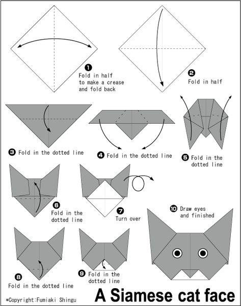 Origami Siamese cat(face) Origami Cat Face, Origami Instructions For Kids, Cat Origami, Origami For Kids, Best Origami, Easy Origami Flower, Origami Animal, Easy Origami For Kids, Origami Yoda