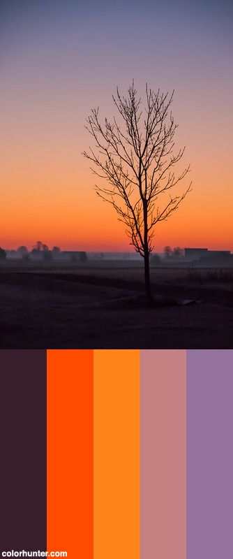 Dawn Color Scheme from colorhunter.com Dawn Color Palette, Movie Wall, Morning Sky, Bendy And The Ink Machine, Color Chart, Color Palettes, Color Scheme, Color Schemes, Mood Board