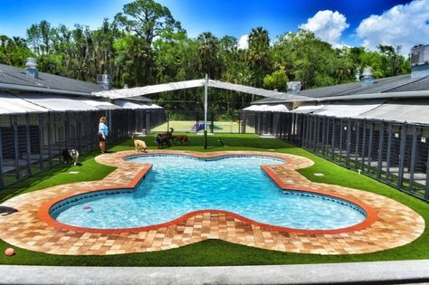 Pet resort brings paradise to Wesley Chapel | Tampa Bay Times Puppy Daycare, Kennel Design, Kennel Business, Dog Farm, Dog Shelter, Animal Rescue Center, Dog Hotel, Pet Paradise, Pet Resort