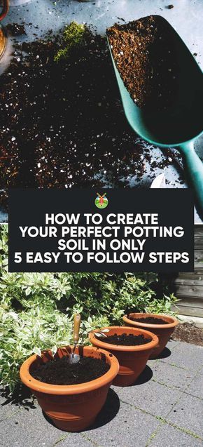 How to Make the Perfect Potting Soil Recipe in 5 Easy-to-Follow Steps Soil Recipe, Compost Soil, Backyard Gardening, Greenhouse Gardening, Composting, Garden Soil, Potting Soil, Gardening For Beginners, Growing Vegetables