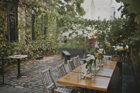 Aly & Elroi's Washington DC Wedding Ceremony at Big Bear Cafe | Images: Sarah Gormley Photography | #dcwedding #lgbtwedding #intimatewedding #offbeatwedding Dc Coffee Shops, Cafe Images, Cobblestone Patio, Grapevine Growing, Cultural Foods, Washington Trip, Roses Luxury, Trendy Hotels, Dc Trip