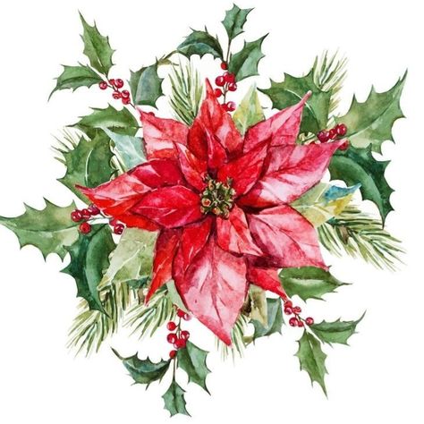 Christmas Bouquet, Christmas Tree Branches, Watercolor Christmas Cards, Flower Watercolor, Poinsettia Flower, Watercolor Christmas, Christmas Flowers, Christmas Drawing, Christmas Paintings