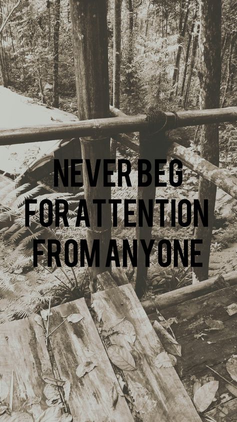 Never beg for attention from anyone Won’t Beg For Attention, Never Beg For Attention, Attention Wallpaper, Never Beg, Attention Quotes, Don't Beg, Relationship Quotes For Him, Quotes For Him, Relationship Quotes