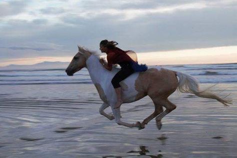 Alycia Burton, Strand Shoot, Bareback Riding, Natural Horsemanship, Horse Quotes, Poses References, Horse Life, Horse Photography, Horse Pictures