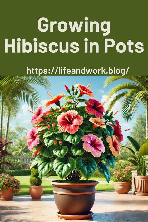 Growing Hibiscus in Pots Hibiscus Container Garden, Hibiscus In Pots, Growing Hibiscus, Hardy Hibiscus, Hibiscus Plant, White Flies, Peat Moss, Tropical Colors, Growing Indoors