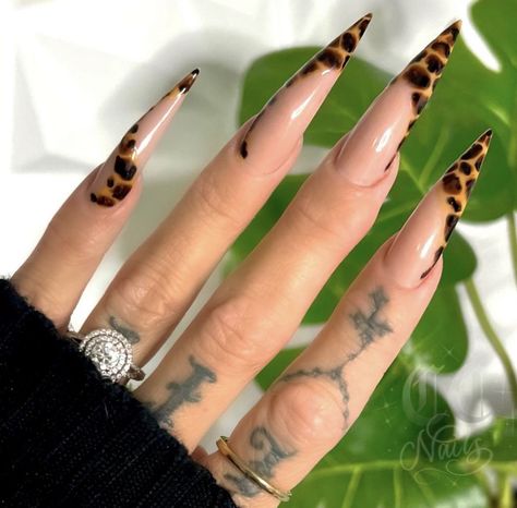 Stiletto Leopard Nails, Leopard Stiletto Nails, Ideas Nails Summer, Nails Summer Nails, Leopard Print Nails, Dope Nail Designs, Print Nails, Glow Nails, Leopard Nails