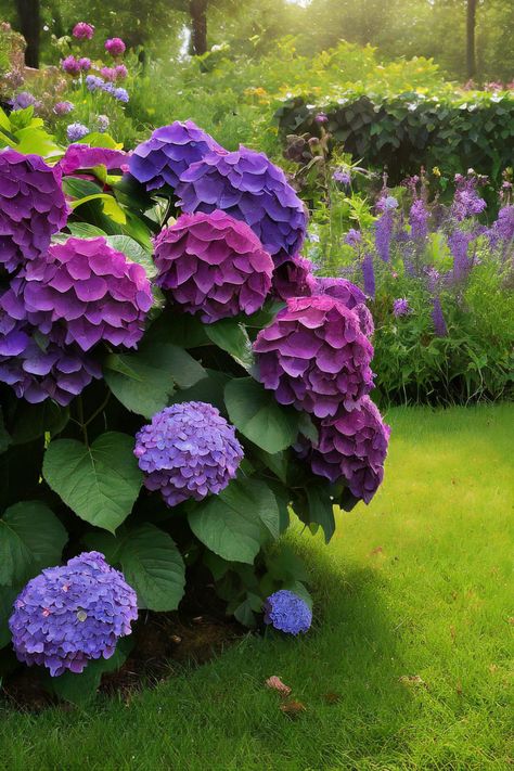 Flowers That Look Like Hydrangeas Lace Hydrangea, Lace Cap Hydrangea, Spring Garden, Soft Pastel, Purple Flowers, Hydrangea, Lush, That Look, Pastel