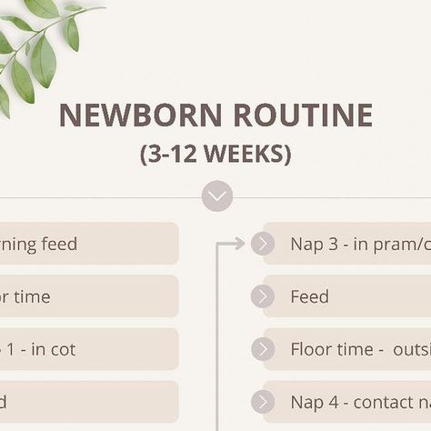 Caroline Tapia | Baby + Toddler Sleep Consultant (0-3yrs) on Instagram: "Here is an example of a newborn feed, play, sleep routine 📝 💾 (Don’t forget to save this for later 😉) ☁️ The first 3 weeks are a time for you and your baby to get to know each other. They will be quite sleepy, so will only wake long enough for a feed and nappy change before being ready to go back to sleep. So, they won’t need much “play time”. ☁️ After about the third week you’ll notice your baby starting to become more Nappy Change, Sleep Consultant, Toddler Sleep, Sleep Routine, Baby Life, 3 In One, Getting To Know, Play Time, Mind Body