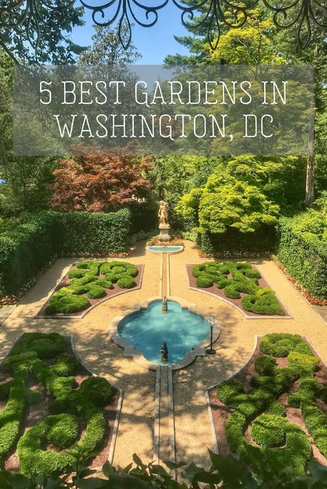 A list of the top 5 best gardens in D.C. The list includes the location, cost, best time, and a few reasons to visit each garden. Solo Life, Washington Travel, Trip Destinations, Washington Dc Travel, Dc Travel, Us Road Trip, Usa Travel Guide, Vacation Usa, Family Road Trips