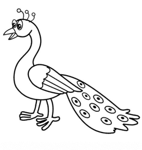 Peacock Cartoon Drawing, Drawing Of Peacock, Peacock Drawing Images, Peacock Drawing Easy, Peacock Drawings, Peacock Cartoon, Peacock Drawing With Colour, A Bird Drawing, Peacock Outline