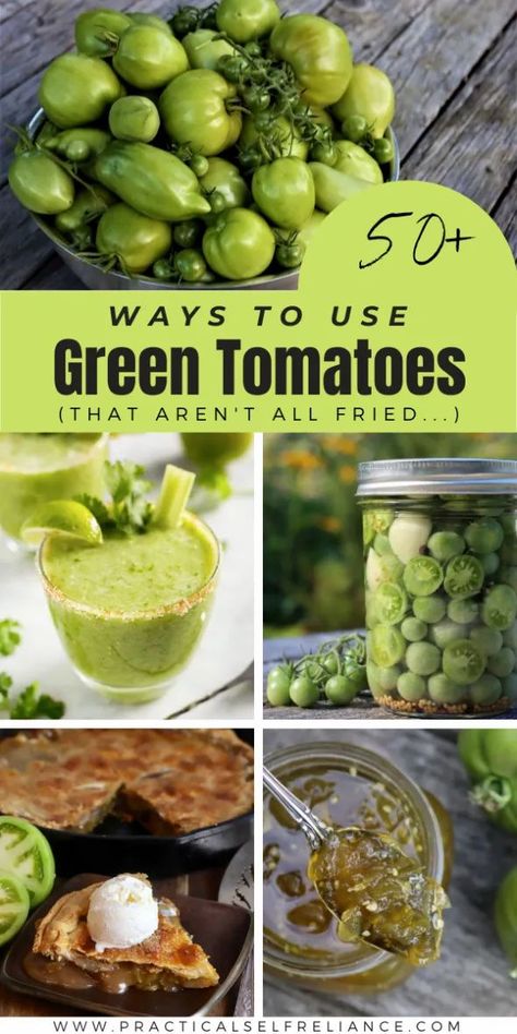 Green Tomato Recipes ~ Looking for ways to use green tomatoes? Here's every green tomato recipe you could possibly need, from ketchup to jam to cocktails, bread and chili. A few fried green tomato recipes too, just for good measure. Small Green Tomato Recipes, Cherry Green Tomato Recipes, Green Tomato Canning, Dehydrated Green Tomatoes, Green Tomato Recipes Canning, Roasted Green Tomato Recipes, What To Do With Green Cherry Tomatoes, Green Cherry Tomato Recipes, Canned Green Tomato Recipes