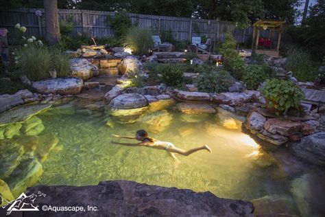 Pretty Backyard, Backyard Lighting Ideas, Pond Kits, Natural Swimming Ponds, Pond Waterfall, Swimming Pond, Backyard Water Feature, Natural Swimming Pools, Piscina Natural