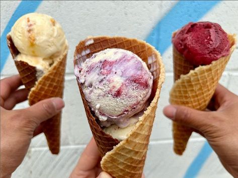 Best Ice Cream in Denver, Colorado: 10 Shops to Try | Westword Lafayette Colorado, Smoothie Base, Ice Cream Shops, Gelato Shop, Here's The Scoop, Pineapple Smoothie, Ice Cream Parlor, Best Ice Cream, Pineapple Coconut