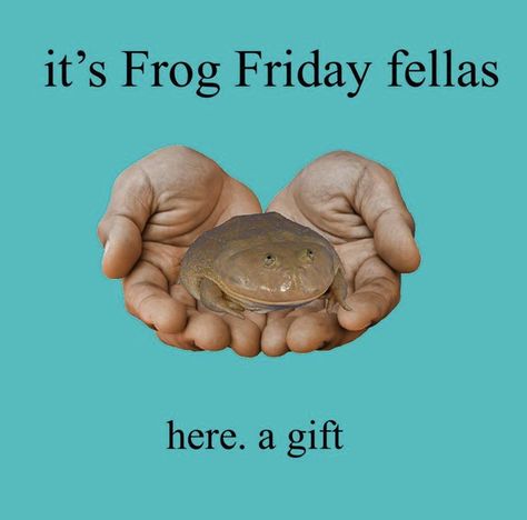 Frog Pictures, 밈 유머, Chat With Friends, Frog Art, The Embrace, Frog And Toad, Cute Frogs, Cute Memes, Wholesome Memes