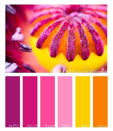 Bright Wedding Colors, Pink Color Palette, Wedding Colors Purple, Color Schemes Colour Palettes, Pink Palette, Color Palette Pink, Design Seeds, Color Palate, Color Palette Design