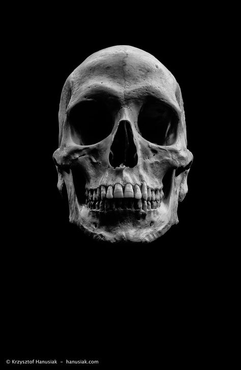 Theme: Creepy | Flickr - Photo Sharing! Human Skull Photography, Skull Photography, Skull Anatomy, Skull Reference, Skull Art Drawing, Human Bones, Skeleton Bones, Human Skeleton, Skull Tattoo Design