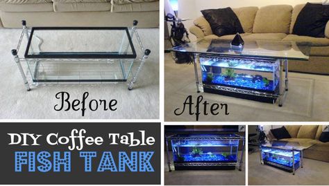 DIY Coffee Table Fish Tank, my family used to have a huge one of these, I loved to eat sitting at it! Coffee Table Aquarium, Coffee Table Fish Tank, Table Fish Tank, Table Aquarium, Fish Tank Table, Fish Tank Coffee Table, Aquarium Coffee Table, Diy Fish Tank, Cool Fish Tanks