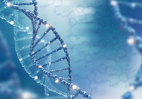 New Post: Centogene Launches 2-Year Global ROPAD Study to Assess the Genetics of Parkinson’s Disease https://parkinsonsnewstoday.com/2019/05/14/centogene-lauches-global-ropad-study-assess-genetics-in-parkinsons Gene Therapy, Genetic Mutation, Genetic Testing, Breast Health, Personality Disorder, Autoimmune Disease, Disease, Health, Blue