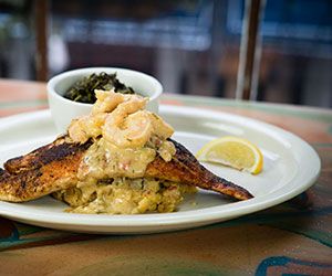 Redfish Pontchartrain | NewOrleansRestaurants.com Pontchartrain Sauce, Crawfish Cornbread, Blackened Redfish, Creamy Shrimp, Lenten Season, South Louisiana, How To Cook Fish, Mustard Greens, Cooked Veggies