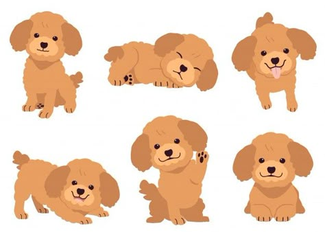 The collection of poodle in many action. | Premium Vector #Freepik #vector #design #dog #character #cartoon Poodle Vector, Cartoon Poodle, Poodle Drawing, Toy Poodle Puppy, Dog Character, Dog Logo Design, 강아지 그림, Character Cartoon, Dog Vector