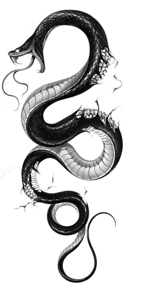 Black Snake Tattoo, Snake Sketch, Cobra Tattoo, Snake Illustration, Serpent Tattoo, Snake Drawing, Bone Tattoos, Sharpie Tattoos, Snake Tattoo Design