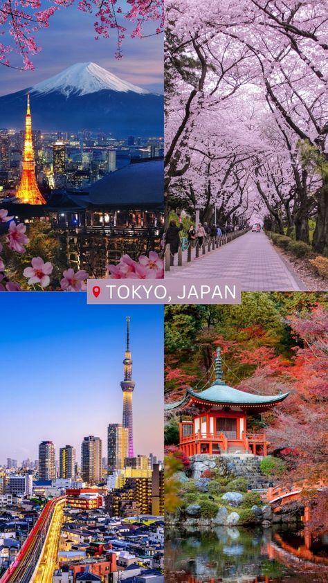 Holidays In Japan, Travel Locations Bucket Lists, Tokyo Vision Board, Japan Travel Places, Vision Board Japan, Tokyo Travel Aesthetic, Tokyo Holiday, Tokyo Culture, Summer In Tokyo