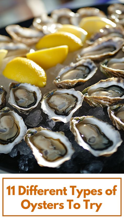 A close-up of different types of oysters displayed on a platter, featuring Kumamoto, Blue Point, and Pacific varieties with lemon wedges and ice. Types Of Oysters, Raw Oysters, Oyster Recipes, Fresh Oysters, Blue Point, Kumamoto, Coast To Coast, Different Types, Seafood