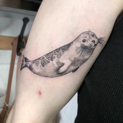 Hammerhead Tattoo, Seal Tattoo, Starfish Tattoo, Inspo Tattoo, Bestie Tattoo, Harp Seal, Lion Tattoos, Blackwork Tattoos, Seal Pup