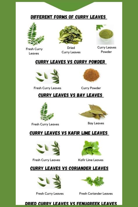 Defferent Forms Of Curry Leaves,Dryed Curry Leaves,Curry Leaves Powder Curry Leaves, Health Benefits, Benefits, Health, Quick Saves