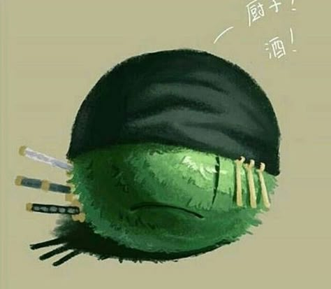 Marimo ||One Piece|| Straw Hat Pirates, Roronoa Zoro, Straw Hat, Swords, Straw, One Piece, Books, Green