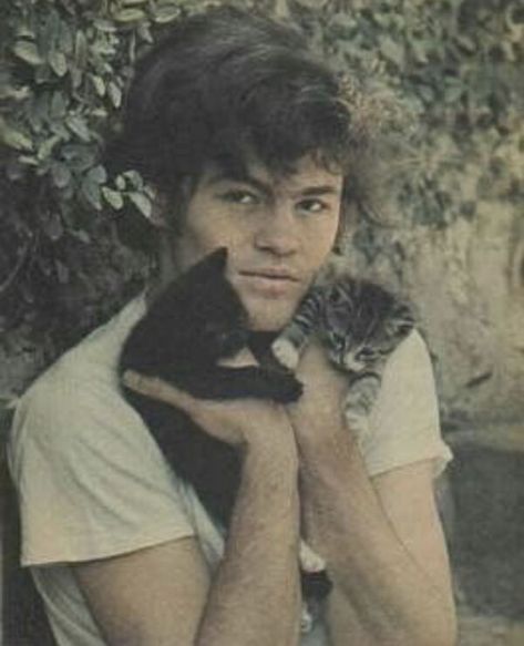 Mickey Dolenz, Celebrities With Cats, Famous Cats, Patricia Highsmith, Men With Cats, Davy Jones, The Monkees, Cat People, Ernest Hemingway