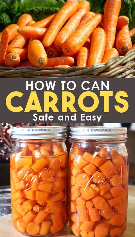 How to Can Carrots - Easy Raw Pack Method for Pressure Canning Carrot Ideas, Can Carrots, Canning Carrots, Well Stocked Pantry, Stocked Pantry, Canned Carrots, Pressure Canning Recipes, Canning 101, Recipe For Beginners