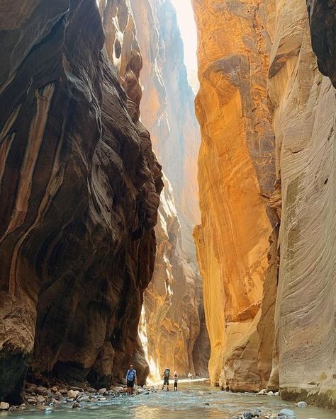 The Narrows Zion National Park, Zion Narrows, Narrows Zion National Park, The Narrows Zion, The Narrows, World Cruise, Best Vacation Spots, Travel Bucket List Usa, Utah Usa