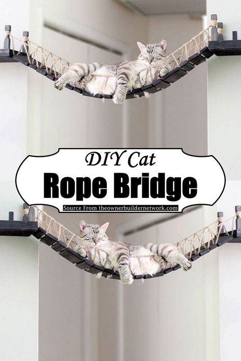 Cat Track On Wall, Cat Wall Bridge, Diy Crafts For Cats, Diy Cat Hammock Wall, Bengal Cat Toys, Diy Cat Rope Bridge, Diy Cat Walkway, Diy Cat Bridge Easy, Diy Wall Cat Tree