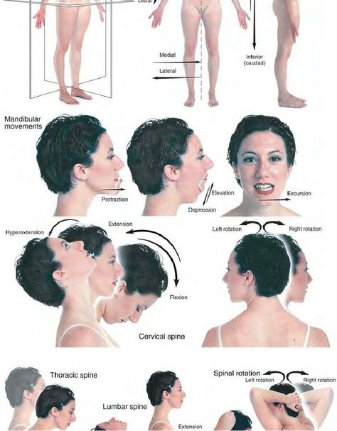 Tensor Fasciae Latae, Manual Therapy, Oil Remedies, Body Therapy, Massage Benefits, Body Anatomy, Anatomy Reference, Reflexology, Massage Therapist