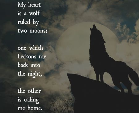 My-heart-is-a-wolf - wolf art, white, wisdom, timber, howling, saying, wallpaper, canislupus, wolf, wolves, black Therian Wolf, Wolf Therian, Lup Singuratic, Lone Wolf Quotes, Black Profile, Wolf Black, Wolf Stuff, Wolf Quotes, Wolf Spirit Animal