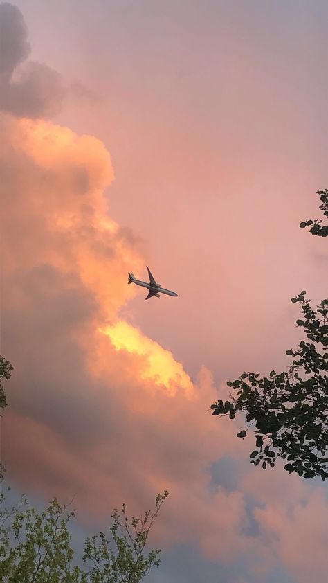 Aircraft Aesthetic Wallpaper, Airplane Aesthetic Wallpaper, Clouds Phone Wallpaper, Phone Wallpaper Cute, Cute Airplane, Plane Wallpaper, Airplane Aesthetic, Plane Photography, Airplane Wallpaper