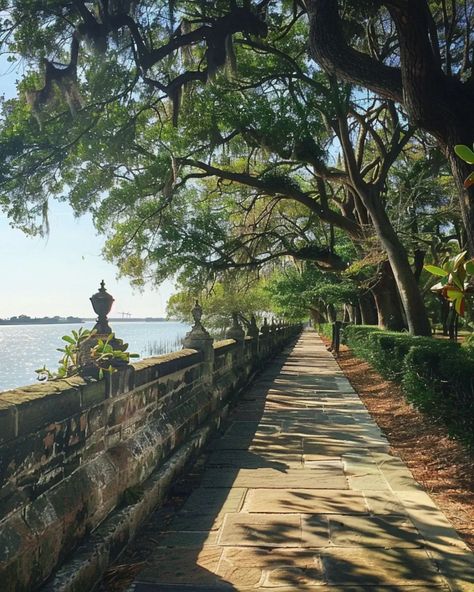 Stroll down the Battery Charleston South Carolina Aesthetic Outfits, Charleston Sc Aesthetic, Charleston Aesthetic, Charleston Beach, Downtown Charleston Sc, Charleston Restaurants, Rainbow Row, Battery Park, Charleston South Carolina