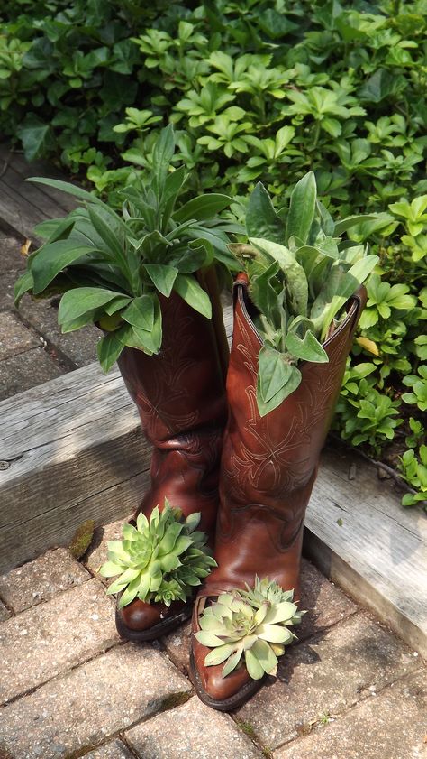 old cowboy boots planted with hens and chicks and other plants. Cowboy Hat Planter, Travis Caldwell, Upcycle Planters, Cowboy Boot Crafts, Old Cowboy Boots, Boot Decor, Shoe Planter, Boot Planter, Babies Pics