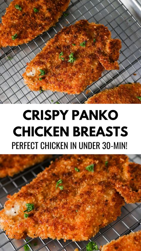 Crispy Panko breaded pan-fried chicken breasts Chicken Parmesan Recipe Panko, Pablo Breaded Chicken, Pan Crusted Chicken, Baked Chicken Recipes Breaded, Panko Oven Fried Chicken, Panko Crumbed Chicken, Crispy Chicken Parm, Park Crusted Chicken, Best Panko Chicken