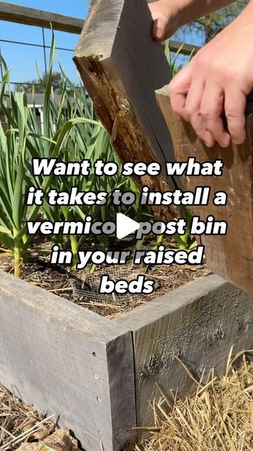 Worm Beds, Bed Construction, Worm Composting Bin, Bed Setup, Garden Mesh, Worm Bin, Cedar Boards, Worm Composting, Hardware Cloth