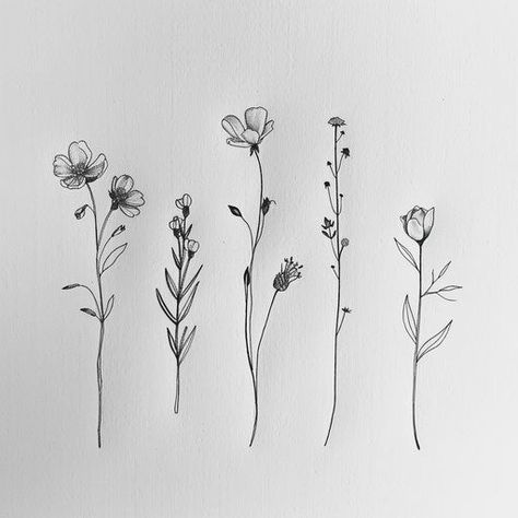 Wildflower Tattoo Blueprint Pack Simple Wildflower Tattoo Designs, Western Knee Tattoos Women, Floral Behind Ear Tattoo, Single Wildflower Tattoo, Row Of Flowers Tattoo, Fineline Wildflower Tattoo, Stick And Poke Flower Tattoo, Wildflower Tattoo Meaning, Wildflower Drawing Tattoo