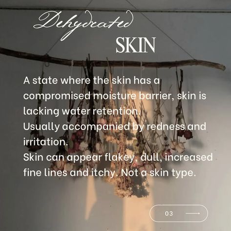 dry vs dehydrated skin can be hard to differentiate to an untrained eye its important to know which you are struggling with because they are treated differently did you know that dry and dehydrated skin were different? Water Retention, Dehydrated Skin, Skin Types, Did You Know, Moisturizer, Canning, Skin