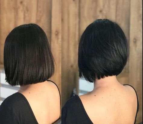 Slight Inverted Bob, Polished Bob Haircut, Stacked Chin Length Bob Haircut, Tapered Bob Haircut, Round Bob, Rounded Bob, Short Layered Bob Haircuts, Short Black Hair, Short Blonde Haircuts