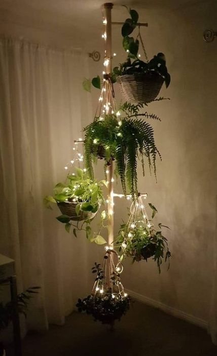 Plants With Fairy Lights, Atrium Sunroom, Fairy Lights And Plants, Plant Lights Indoor Setup, Plant Sunroom, Cozy Small Bedroom Decor, Light Decor Ideas, Indoor Fairy Lights, String Lights Inside