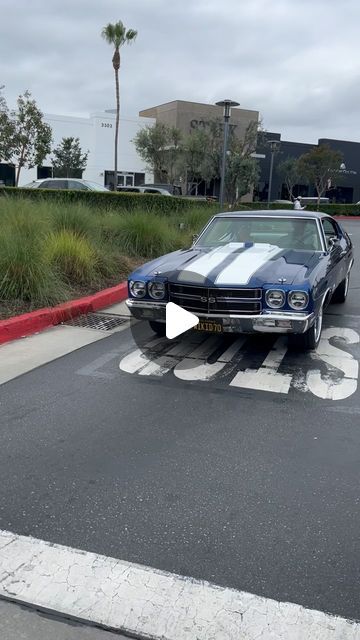 Chevelle 🇺🇸 on Instagram: "Mike’s big block Chevrolet @wikid70 Chevelle. 
_

#classicridesonly #chevelleusa 

#classiccar #musclecar #hotrod #protouring #prostreet #restomod #classicsdaily #streetrod #streetcar #customcar #chevelle #chevychevelle #hotrods #streetrods #70chevelle #bigblockchevy
#classiccars #customcars #musclecars #americanmuscle #hotrodsandmusclecars #musclecarsdaily #americanmusclecars #classicmuscle #classicchevy #chevelless #showcar #chevynova" 1969 Chevelle Ss, 71 Chevelle, 70 Chevelle Ss, 1969 Chevelle, 70 Chevelle, Chevy Chevelle, Chevy Nova, Chevelle Ss, Pro Touring